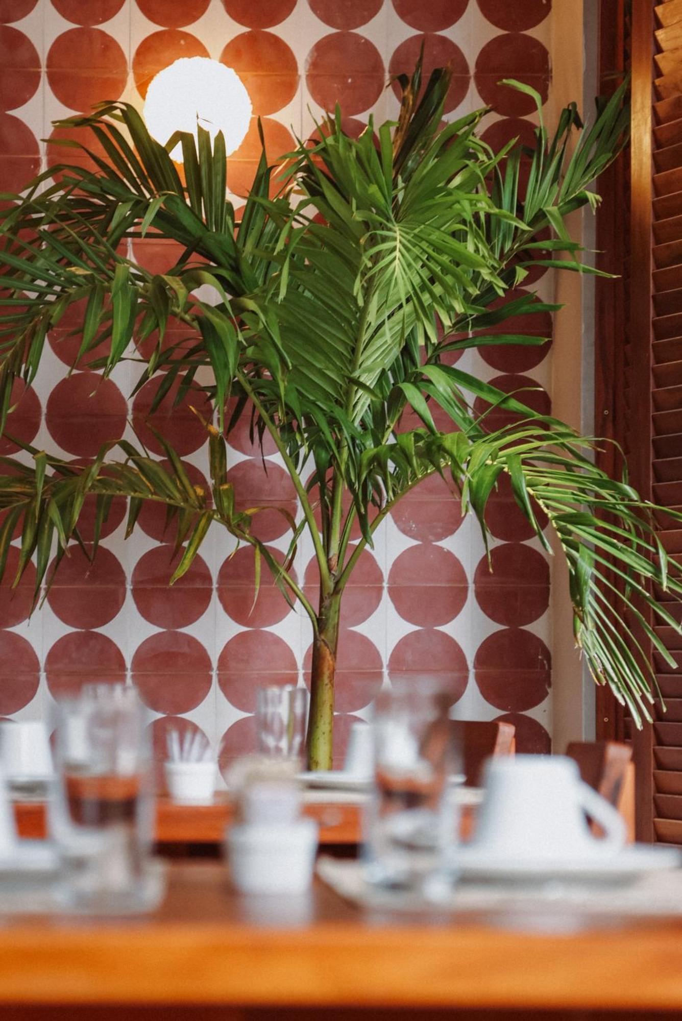 Luau Hotel 과지루 외부 사진